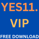 YES11. VIP GAME