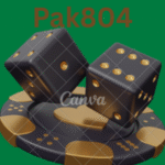 Pak804 game best earning app