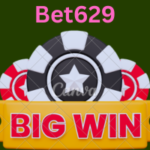 Bet629 game is best earning app