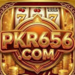 pak656 game is the best top. earning app