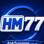 HM77 Game