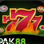 1PAK88 Game
