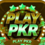 PLAY PKR Game