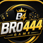 bro444 Game